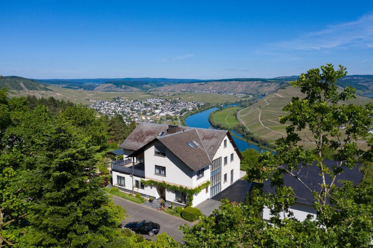 Gaestehaus-Weingut Loersch Leiwen Extérieur photo