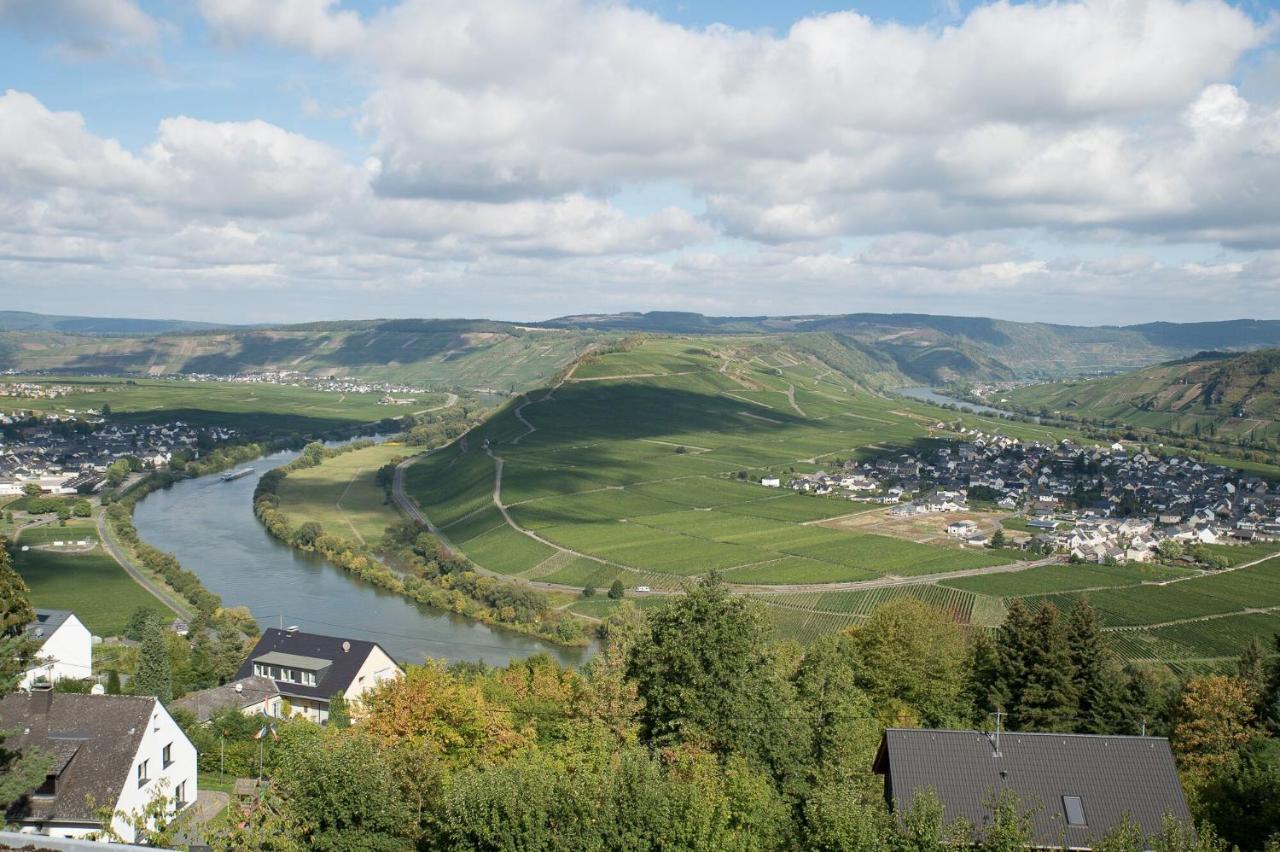 Gaestehaus-Weingut Loersch Leiwen Extérieur photo